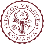 vincon logo